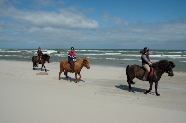 Reiten Auf Ruegen Strand