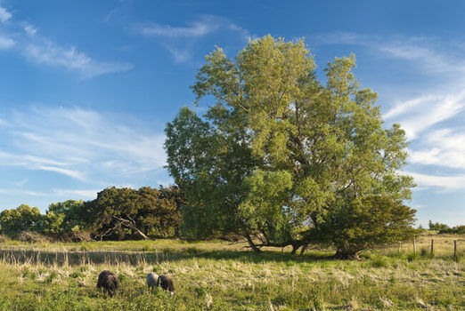 Wandern Radfahren Ruegen
